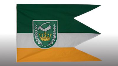 SAP - obecná vlajka