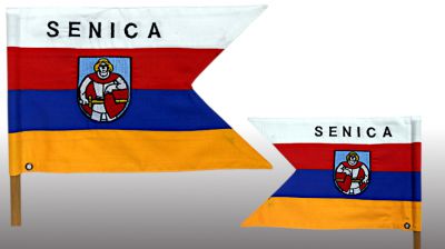 Motovlajka Senica